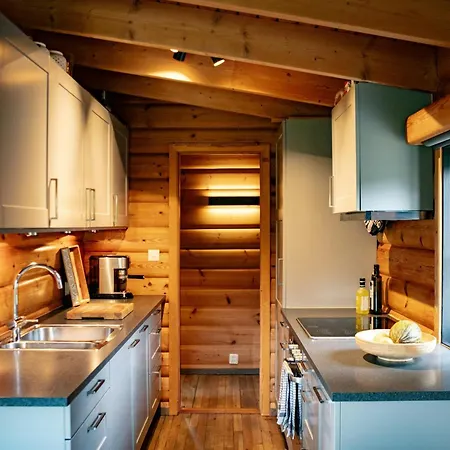 Tatil Evi Charming And Cozy Timber In Sirdal *