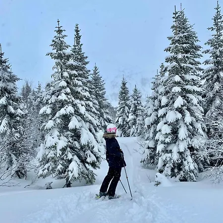 Tatil Evi Charming And Cozy Timber In Sirdal *