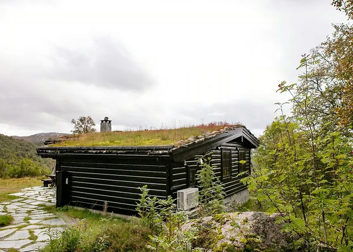 度假居 Charming And Cozy Timber In Sirdal *