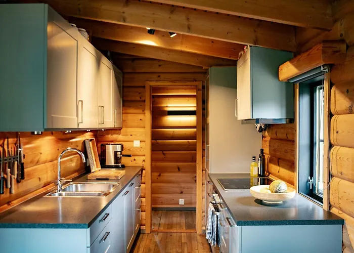 度假居 Charming And Cozy Timber In Sirdal *