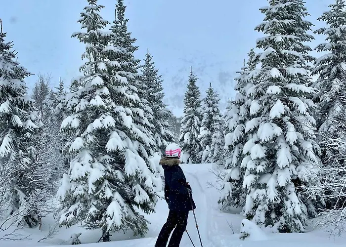 度假居 Charming And Cozy Timber In Sirdal *